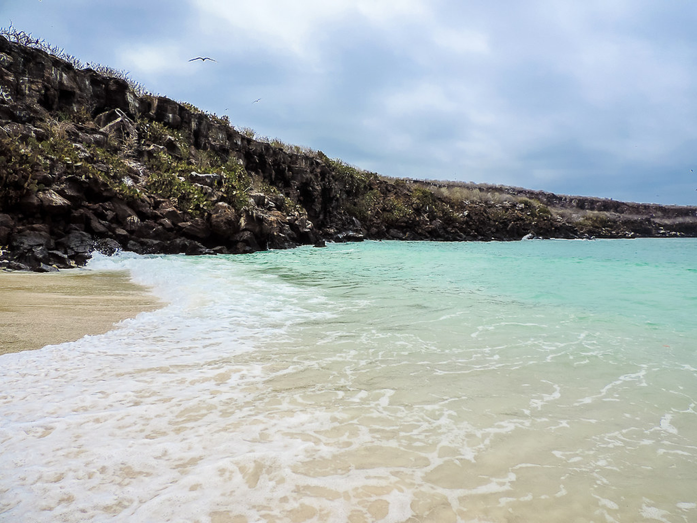 Galápagos | Darwin Bay: Beneath the Waves