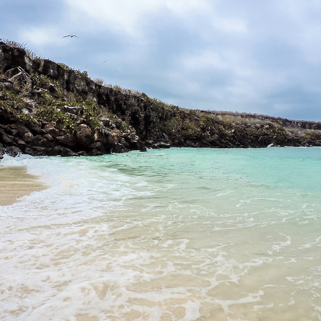 Galápagos | Darwin Bay: Beneath the Waves