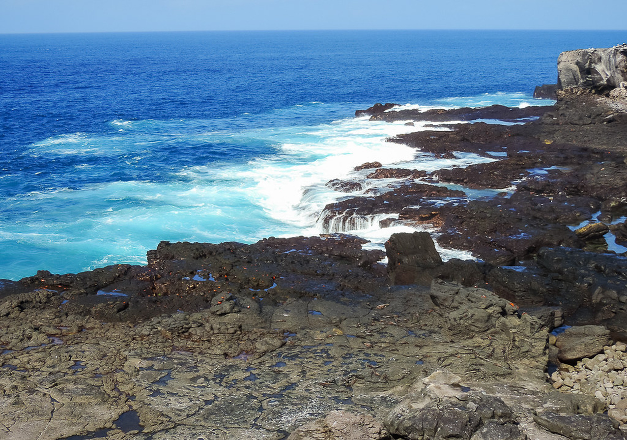 Galápagos | Life on Española Island
