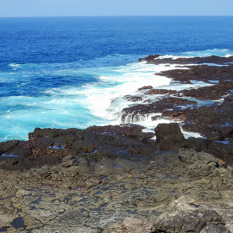 Galápagos | Life on Española Island