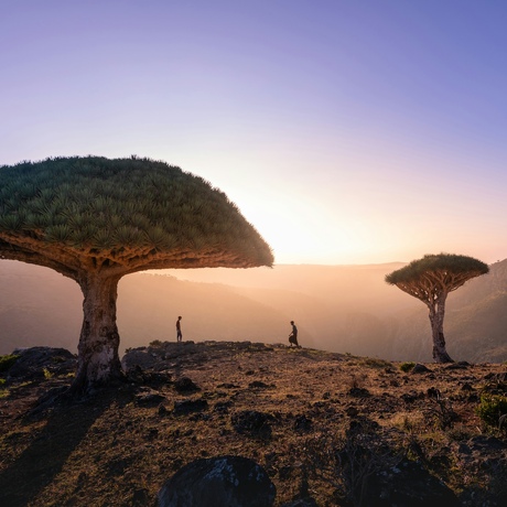 Yemen