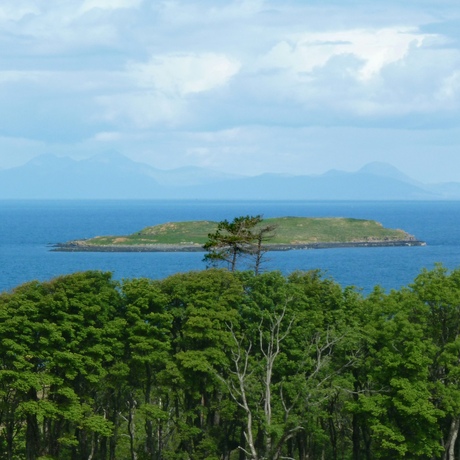 Palau | Ngermalk Trail & Island Sanctuary