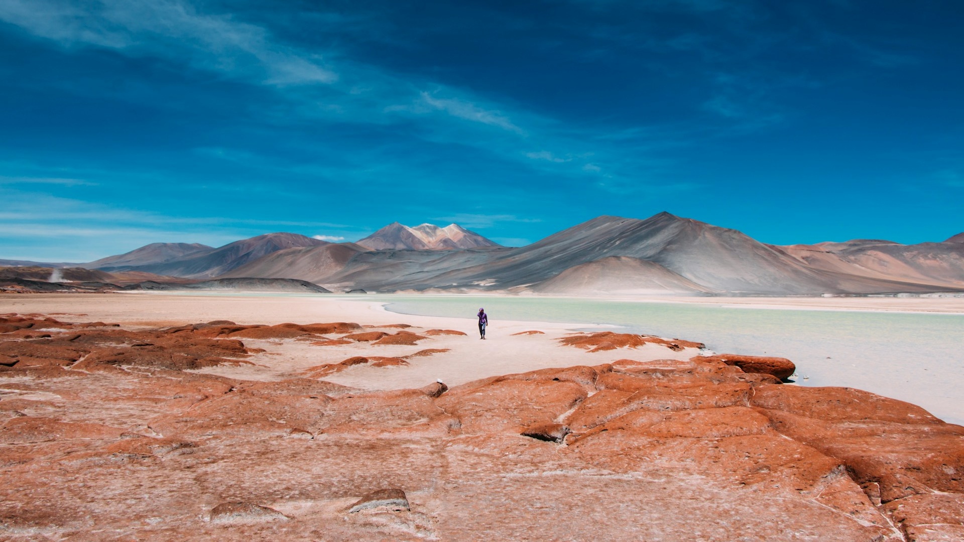 Chile | Into the Heights of Atacama Desert