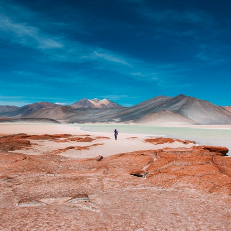 Chile | Into the Heights of Atacama Desert