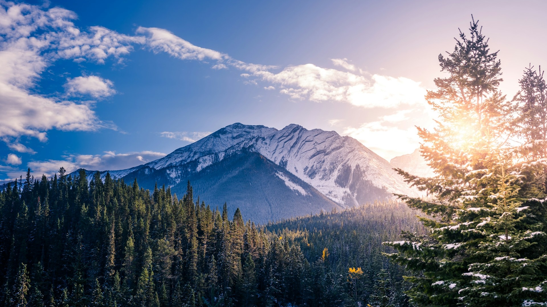 Canada | Path Through the Wild