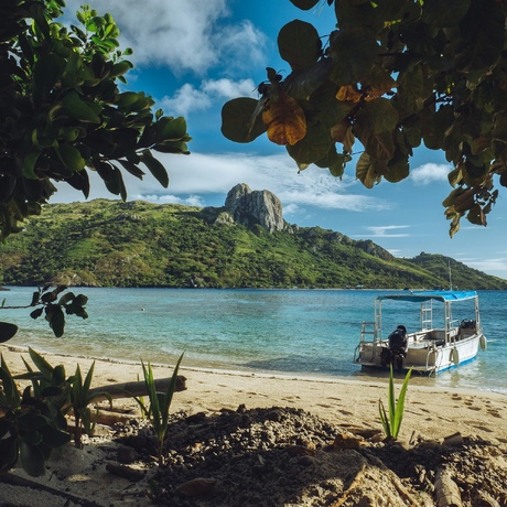 Fiji | Reef Life: Color and Community